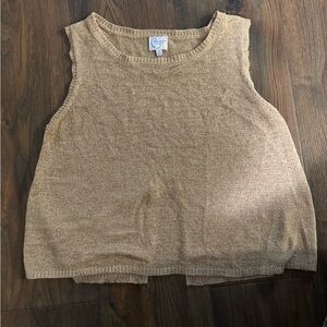 Blue Rain x Francesca’s Tan Knit Top